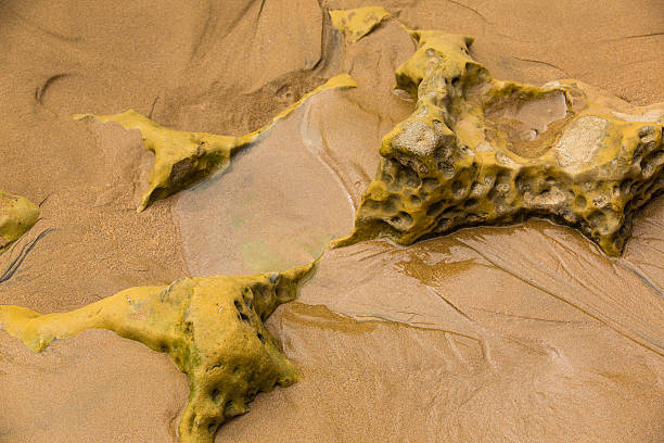Atlantic coast of Morocco is made up of sand and eroded sandstone rocks.