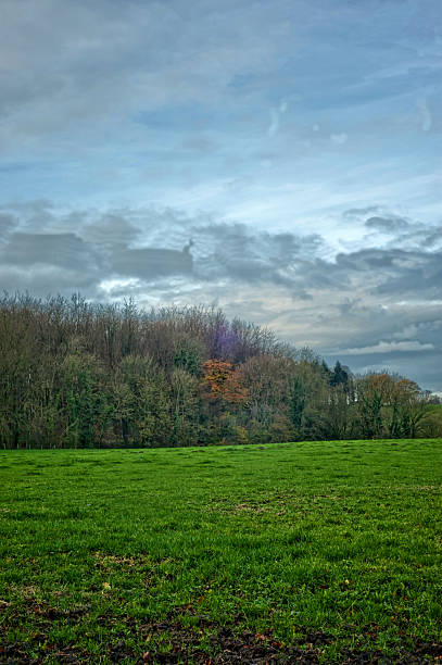 istock Sunrise -  Cley Hill - Warminster 500644284