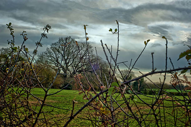 istock Sunrise -  Cley Hill - Warminster 500644666