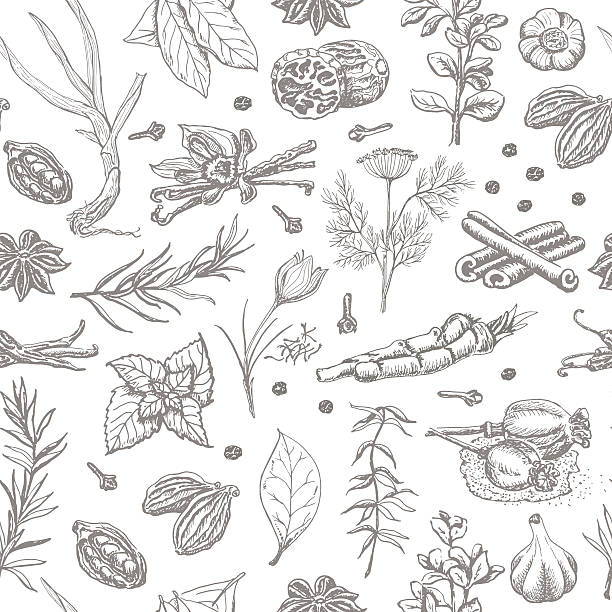 Seamless pattern with spices and herbs on a white background Seamless pattern with spices and herbs on a white background. Vector  illustration for your design poppy seed stock illustrations