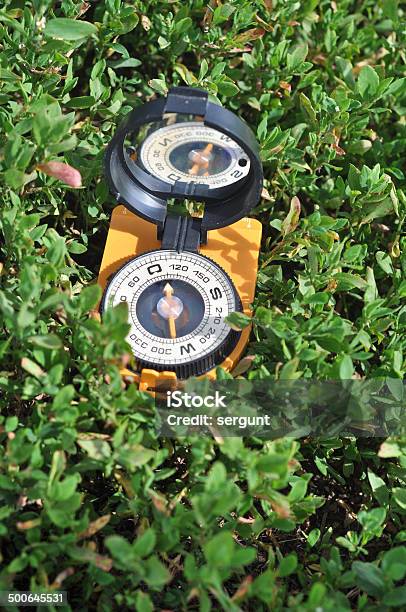 Compass In The Grass Stock Photo - Download Image Now - Adventure, Backgrounds, Bright