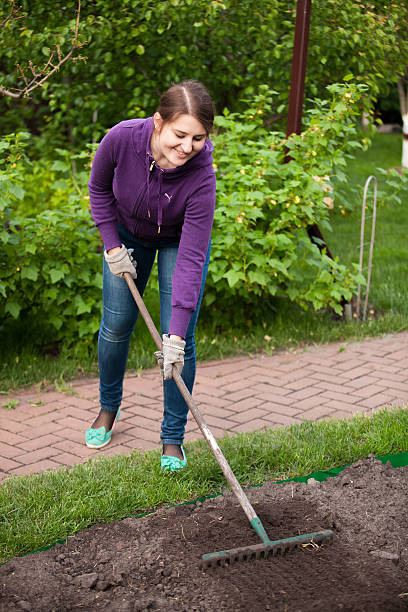 istock beautiful woman working with rake on garden bed 500645611