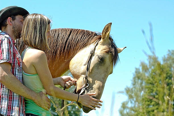 istock Young beautiful couple with a horse at sunset. 500646045
