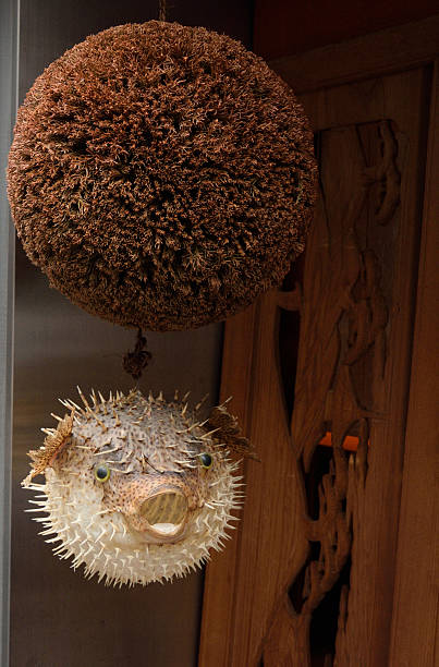 istock Pufferfish Outside Japanese Restaurant 500646132