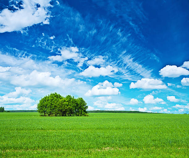 istock view on green field and blue sky 500648501