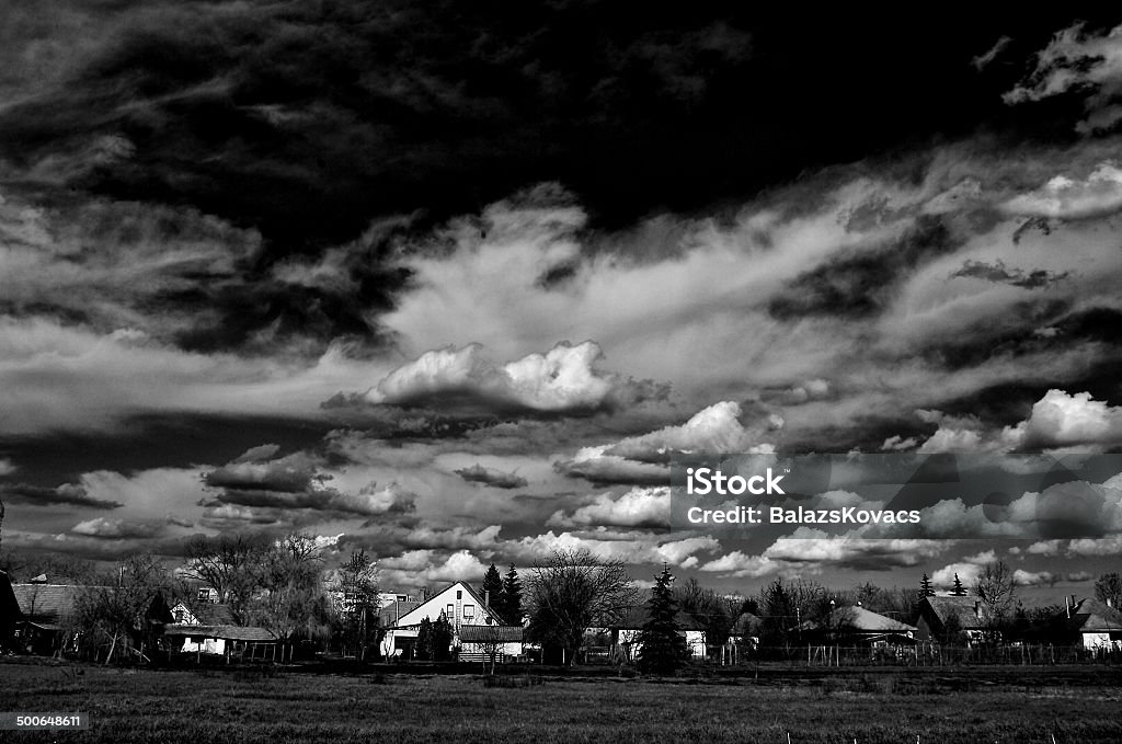 Black and white landscape Landscape Agricultural Field Stock Photo