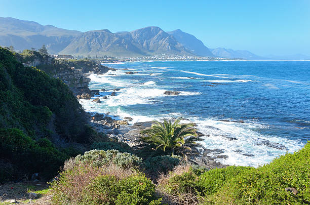 istock Beautiful ocean and coast landscape 500648721