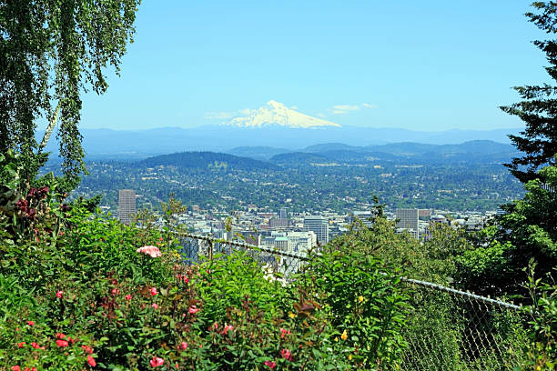 istock Mountain City Scenic 500649139