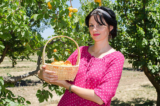 istock Cheerful brunette picking fruits 500649235
