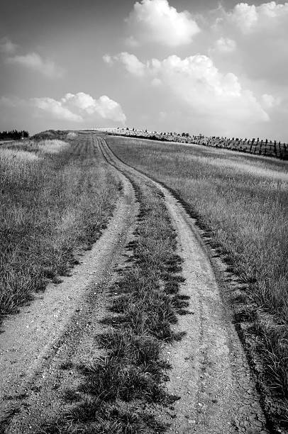 istock Dirt road up the hill. BW image 500649369