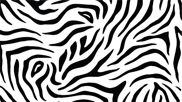 Zebra Stripes  Pattern Zebra Stripes Seamless Pattern vector texture background zebra print stock illustrations