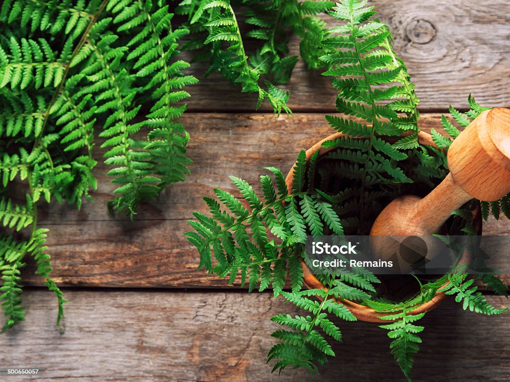 Fern leaves in mortar Green fern leaves in mortar with pestle on wooden background Beauty In Nature Stock Photo