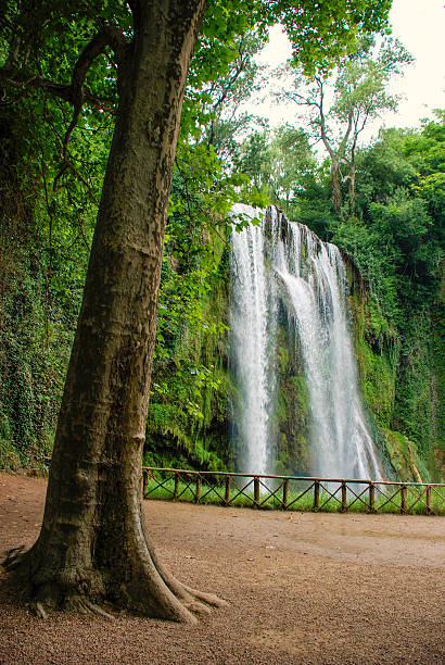 폭포 - awe beauty in nature waterfall cool 뉴스 사진 이미지