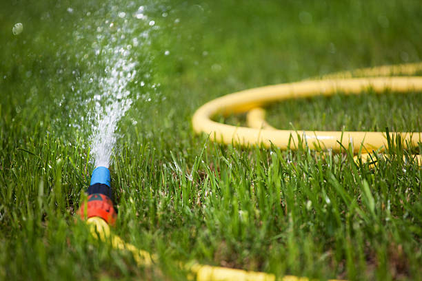 istock Garden water hose on a well groomed freshly cut grass 500652575