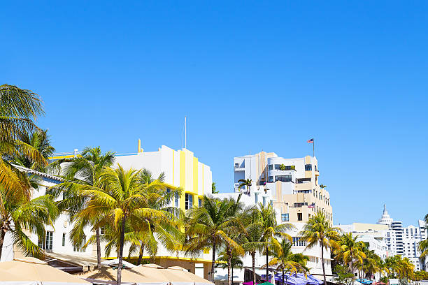 istock Modern buildings of Miami Beach, Florida. 500663287