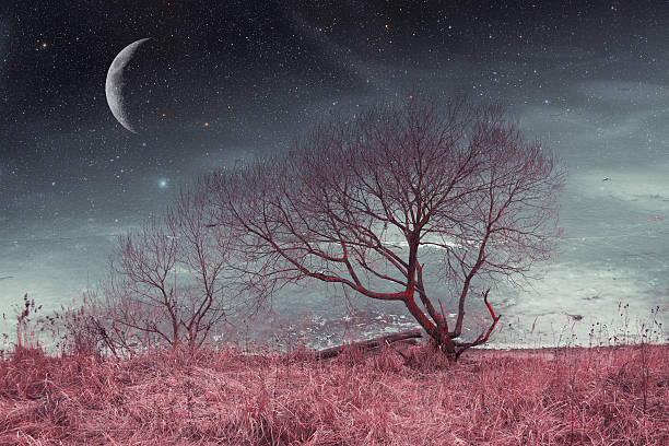istock red night. Elements of this image furnished by NASA 500664289