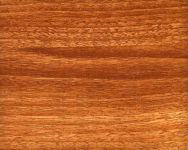 istock Background of wood texture 500664655