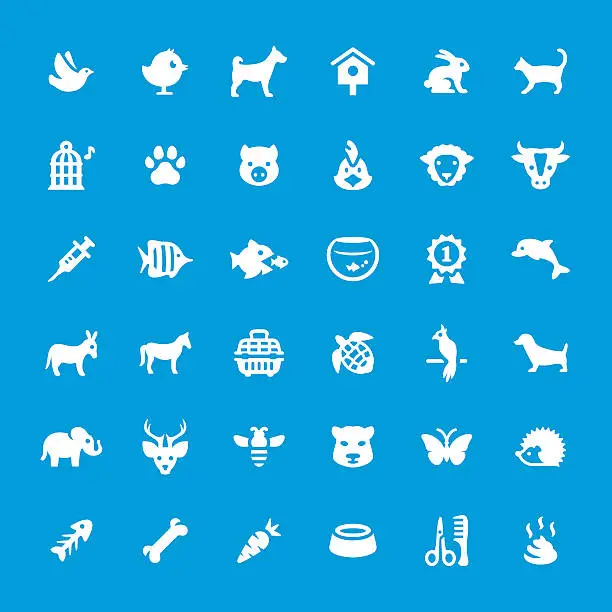 Vector illustration of Pets vector icons set