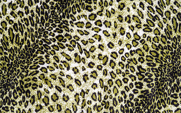 istock The texture of fabric the striped leopard 500664751