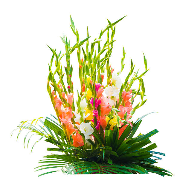istock bouquet of flowers isolated on white 500666777
