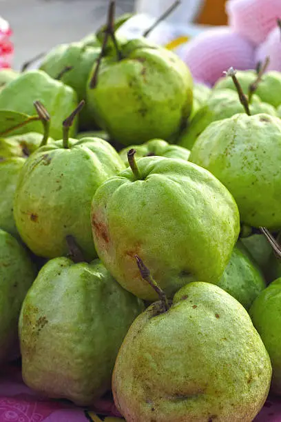 fruit guava fresh-in the market