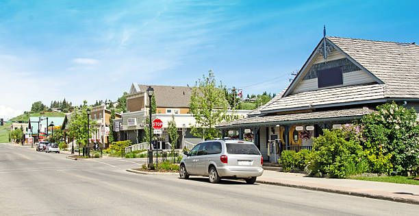 istock Town Of Cochran 500667175
