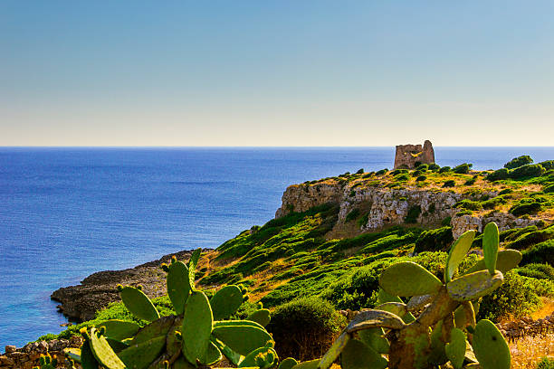 SUMMER LANDSCAPE.Salento coast:  Bay Uluzzo (Lecce). -  ITALY (Apulia) - Stones of Apulia:   Iluzzo watchtower (Lecce). -  ITALY (Salento) - salento puglia stock pictures, royalty-free photos & images