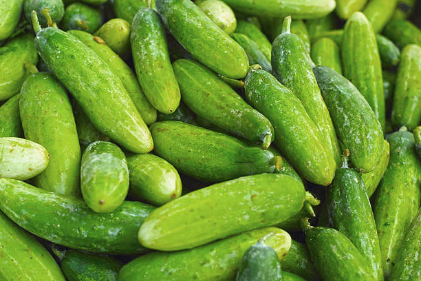 istock Fresh vegetables - cucumber in the market. 500668309