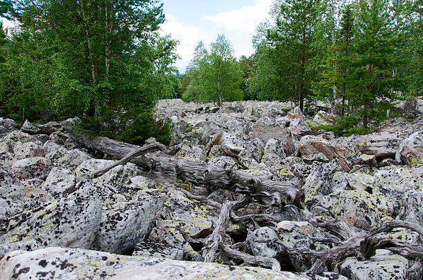 big stone rzekę. taganay. southern uralem - south ural zdjęcia i obrazy z banku zdjęć