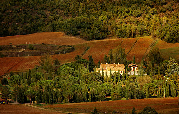 istock Daytime Italian Countryside Landscape View 500672664