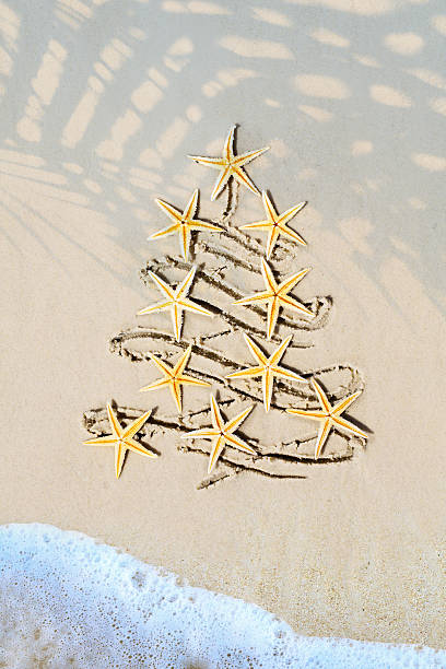 istock art tropical Christmas holiday 500676742