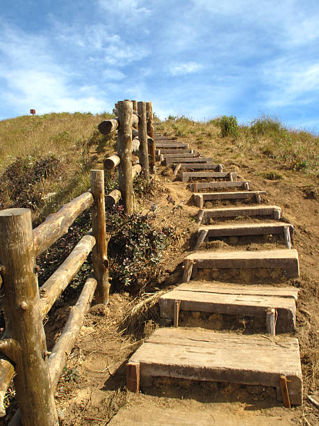 istock Wooden steps at Doi Intanon Chiang Mai Thailand 500681953