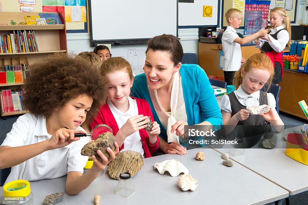 School Children in Science Lesson Primary children in science class looking at rocks and shells. Some are sitting at the table with their teacher, using magnifying glasses. There are some children in the background working together in pairs. Two are standing and two are sitting at a diffferent table. Child Stock Photo