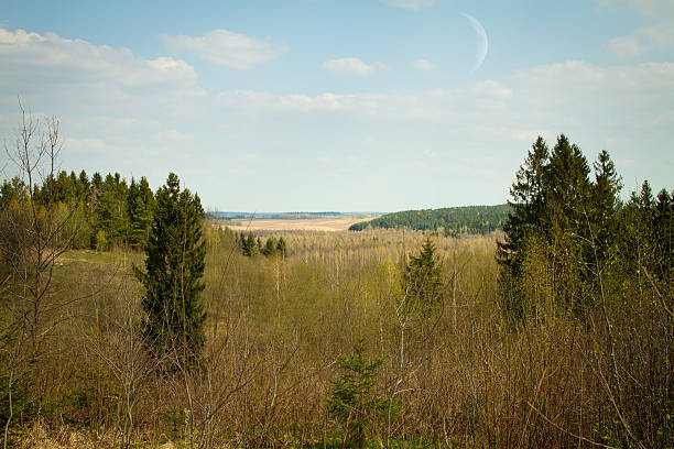 istock Alaska woods and hills 500688827