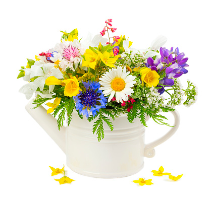 Bouquet of wildflowers in a pot, isolated on white background