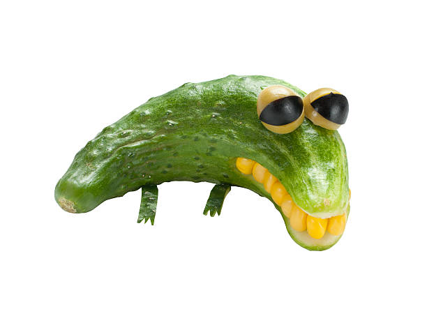 Sad crocodile made of vegetables on isolated background