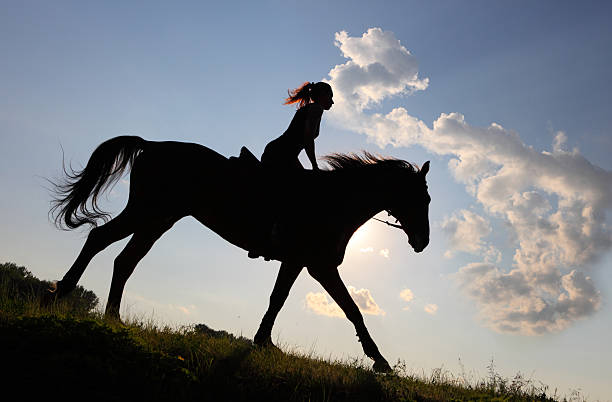 istock Silhouette equestrian rider with horse after sunset 500696914
