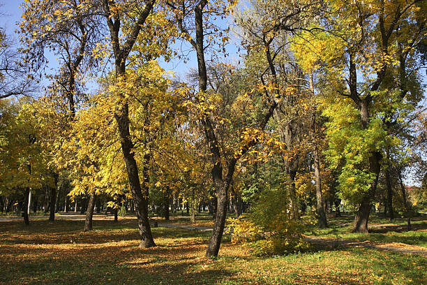 istock Park in Bitola. Macedonia 500697954