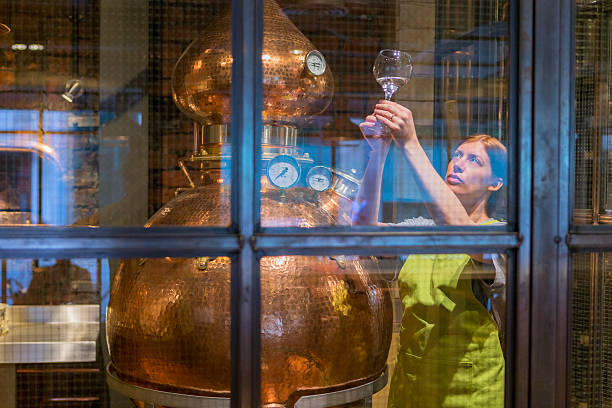 la distillerie chaudière - distillerie photos et images de collection