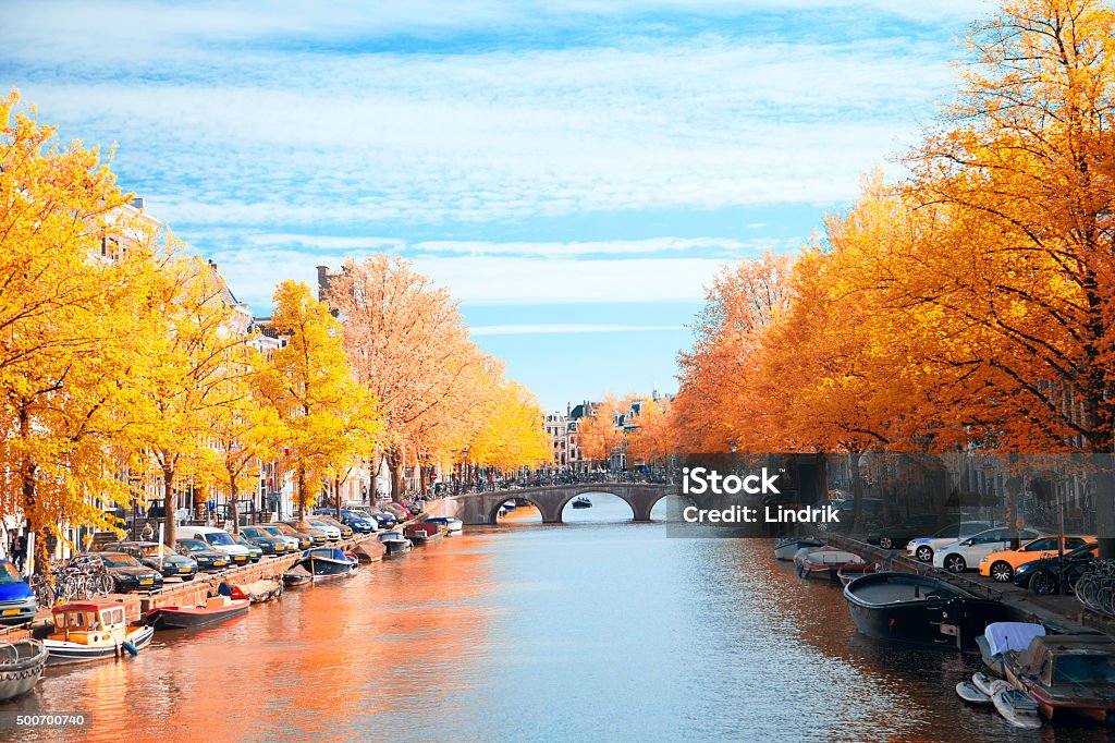 Gold autumn beautiful European capital Amsterdam in the summer. ancient streets and canals.Gold autumn Amsterdam Stock Photo