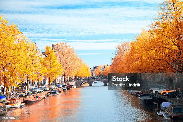 Gold Autumn Stock Photo - Download Image Now - Amsterdam, Autumn, Architecture