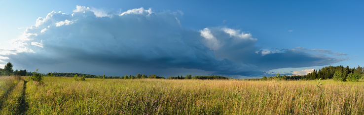 Panorama of meadow in countryside in sunset light and cloudy sky with big storm cloud before the storm, panoramic landscape