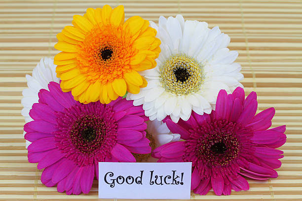istock Good luck note with colorful gerbera daisies 500702595