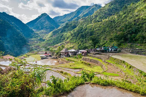 overlooking the rice-terraces and village of Banga-An, Luzon, Philippines