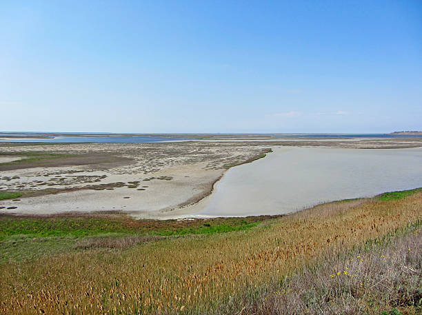 istock Landscape near Sivash Sea 500703643