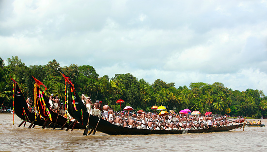 Aranmula ,Kerala ,India, – September 20, 2013 Oarsmen rowing in snake boats participating at Aranmula Boat race.