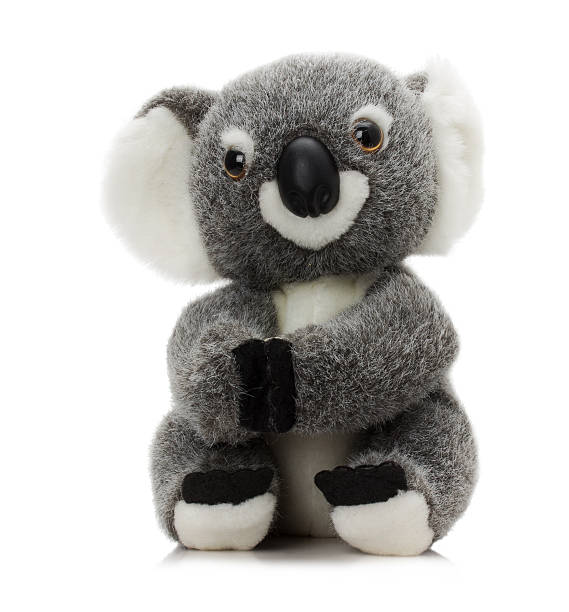 istock plush koala toy isolated on a white background 500705337