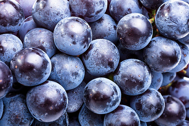 виноград - красный виноград стоковые фото и изображения