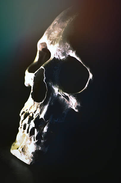 istock Digital art, paint effect, cracked and damaged human skull 500705476