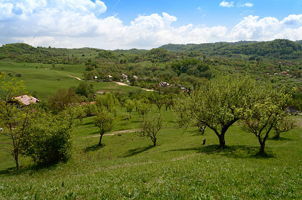 A view taken from Flanada Hill, a place from Campulung Muscel city, Romania